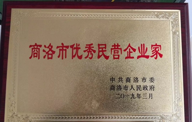 热烈祝贺李宗松董事长荣获商洛市优秀企业家